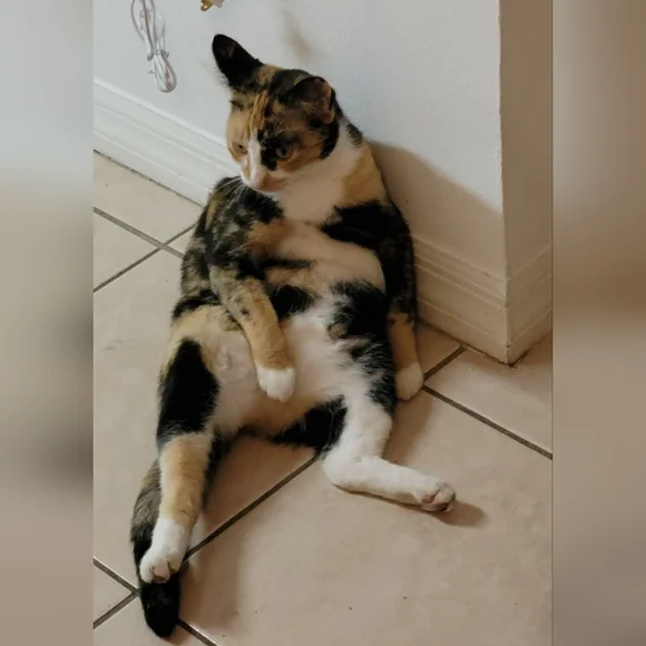 MELODY'S LIVE SHOW HOST LISTING - Picture 7 of 15